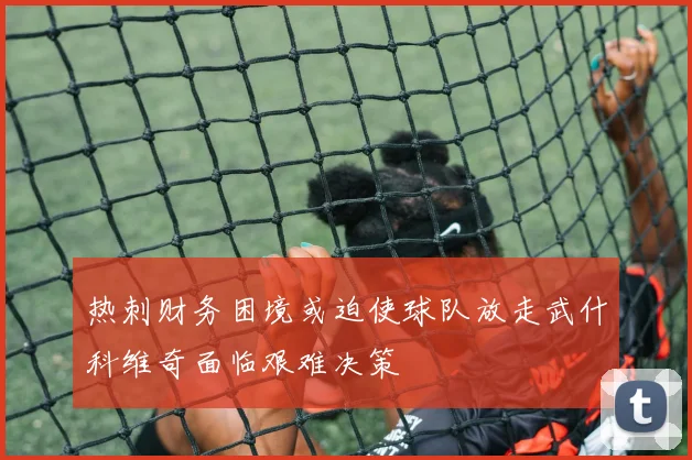 热刺财务困境或迫使球队放走武什科维奇面临艰难决策