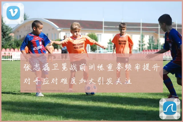 张志磊卫冕战前训练重拳频率提升对手应对难度加大引发关注